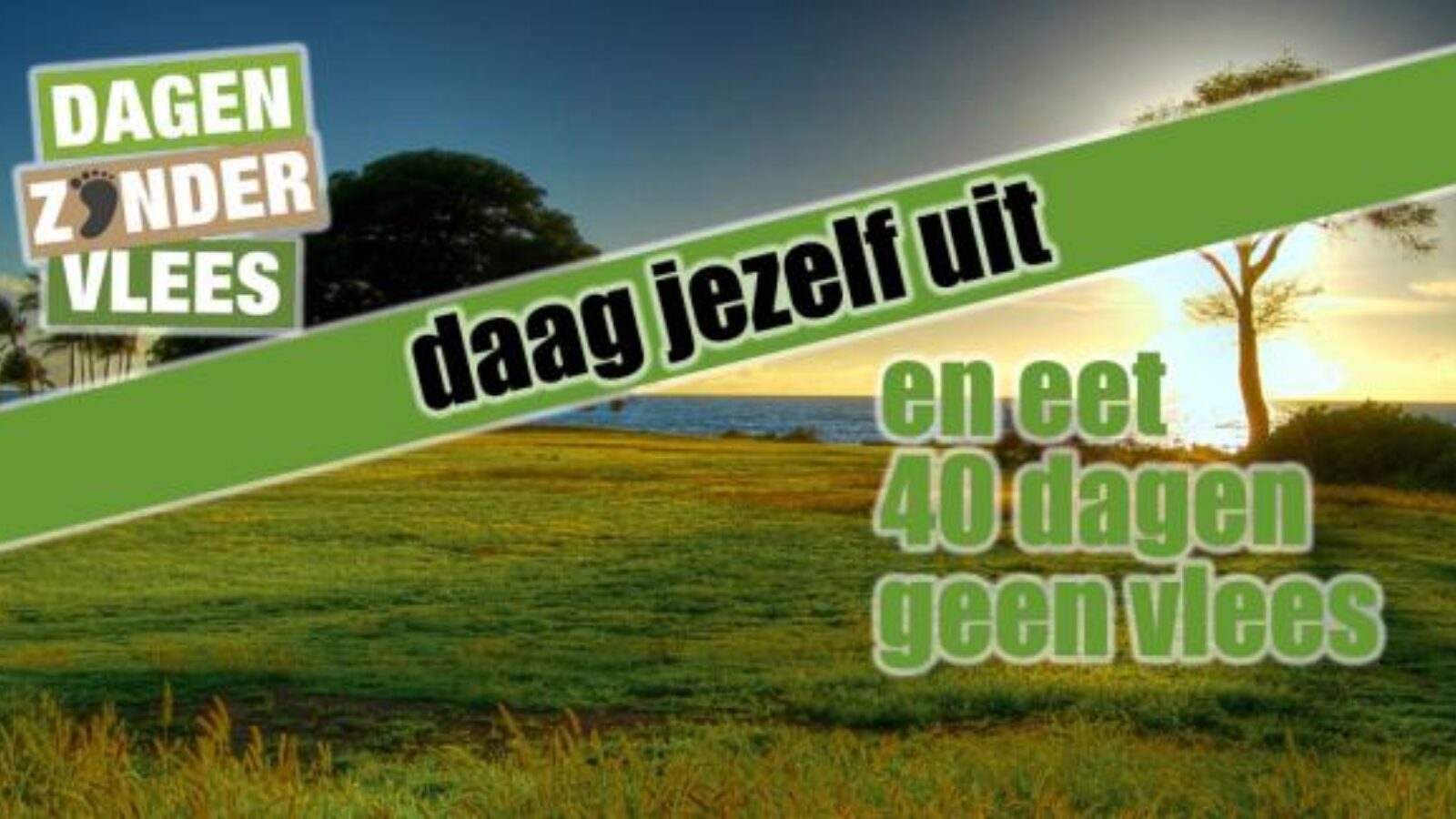 picture of 40 dagen zonder vlees